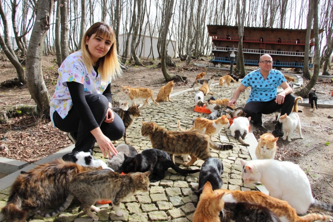 Kediler yemeğe "Türk Marşı"yla davet ediliyor